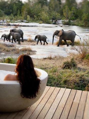 honeymoon safari kenya